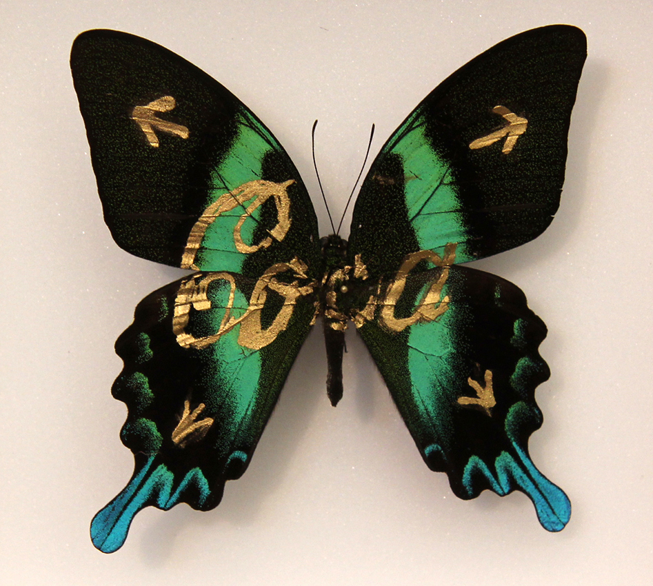 Coca 1, Marker auf SM