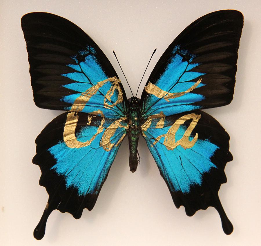 Coca 2, Marker auf SM