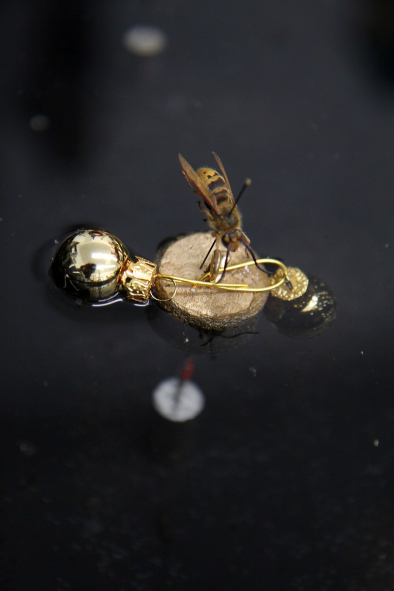 Künstlerhaus Klagenfurt, Oktober 2015