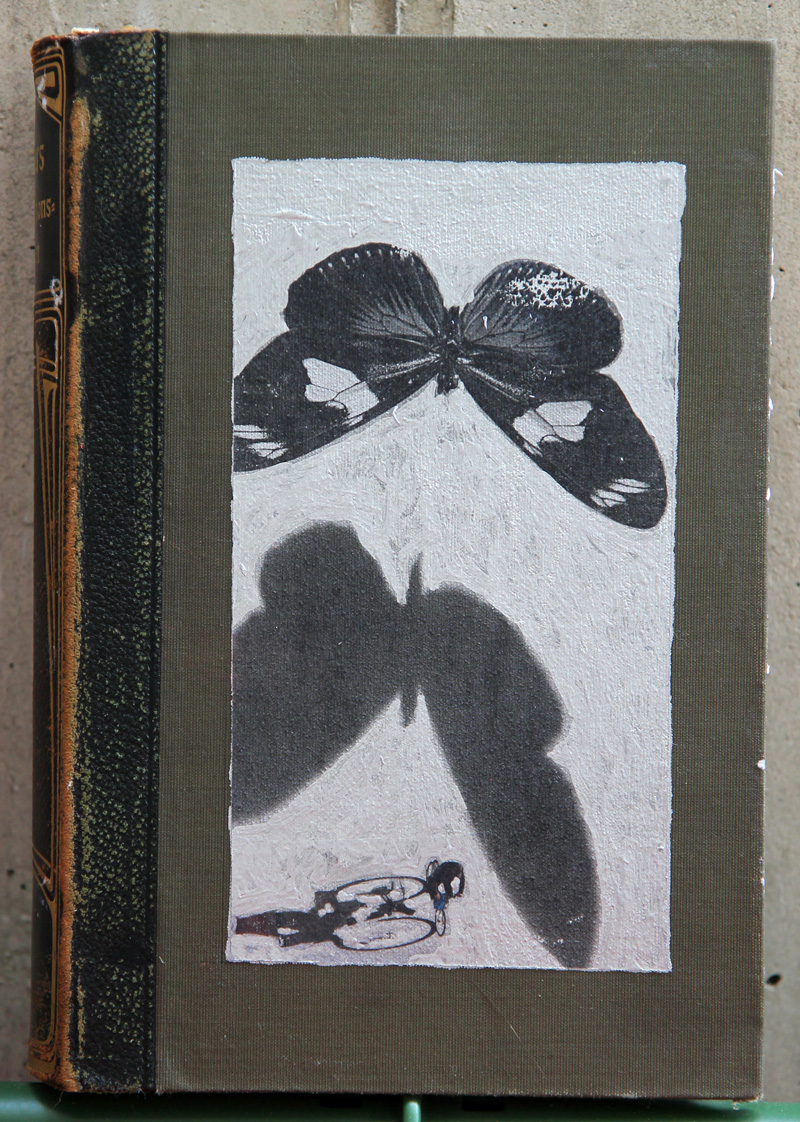 Schmetterlingstraum, Mixed Media auf Buch 25 x 17 x 6 cm, 2016