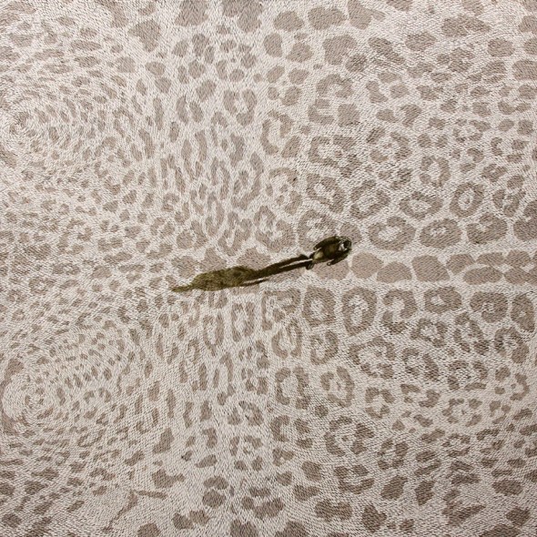 Yaguarete I, Acryl auf Leinwand, 180 x 250 cm, 2016