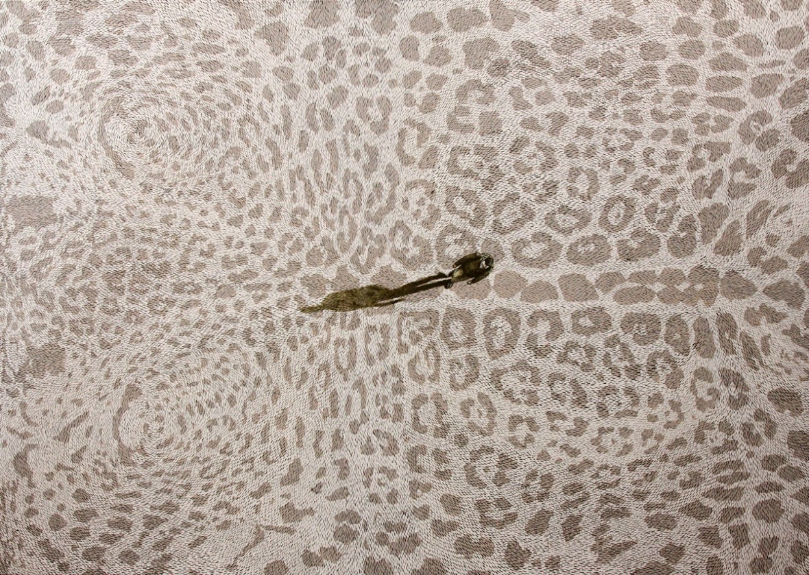 Yaguarete I, Acryl auf Leinwand, 180 x 250 cm, 2016